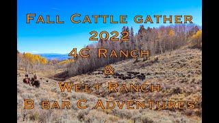 Cattle Gather 2022