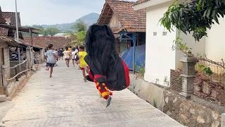 AWAS DIKEJAR BARONGAN NGAMUK !! Arak Arakan Barongan Galak & Reog Ponorogo Di Desa