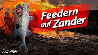 Feedern am Fluss in starker Strömung auf ZANDER - So klappt's garantiert!