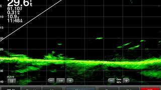 Garmin LiveScope and Striper fishing