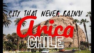 ARICA, CHILE | THE CITY THAT NEVER RAINS!