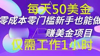 赚钱项目每天赚50美金|副业赚钱|每天仅需工作一个小时|兼职赚钱