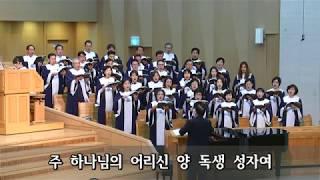 대영광송(Gloria / Wenzel Muller 작곡)/ 남대문교회 시온찬양대 / 원로장로 추대 및 장로임직예식(오후 예배)