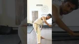 239/1000 Superhuman series capoeira training day 4 Round kick tutorial