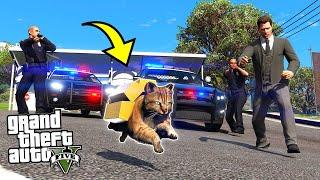 КОТ ПРЕЗИДЕНТА ОГРАБИЛ ДОМ ПРЕЗИДЕНТА! - GTA 5 ЖИЗНЬ ЖИВОТНЫХ (МОДЫ ГТА 5)