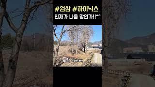 #원삼면 #SK하이닉스 #배후단지 #전원주택 #주말농장 #경매 #부동산 #투자