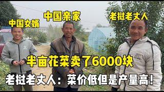 中國公公半畝賣了6000塊，老撾家人大吃一驚：菜價低還賣了這麼多？