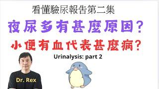 看懂驗尿報告第二集，夜尿多是什麼原因？小便有血很危險？ urinalysis made simple part 2