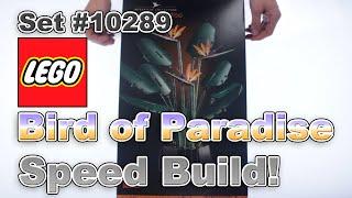 Speed Build: LEGO Bird of Paradise | 10289