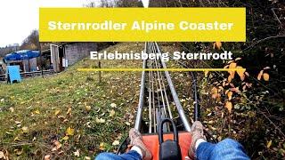 Sternrodler (Onride) / Erlebnisberg Sternrodt 2024 / Wiegand Alpine Coaster / Sommerrodelbahn