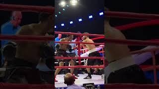 Tz Da Coronel Amassando Daniel Rocha No Fight Music Show