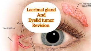 Lacrimal Gland quick revision part 1 and eyelid tumor #eyelectures #opthalmology #jatoi