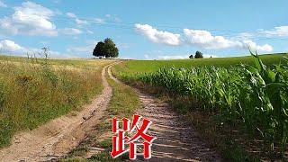 锐眼看世界－－路