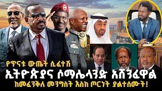 ኢትዮጵያና ሶማሌ ላንድ አሸንፈዋል! ከመፈንቅለ መንግስት እስከ ጦርነቱ ያልተሰሙት! የጥናቱ ውጤት ሲፈተሽ! Ethiopia somaliland