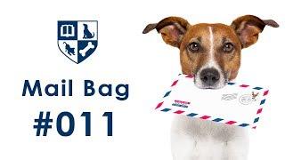 Dunbar Mailbag #11 - Phasing out food/Toys as Rewards