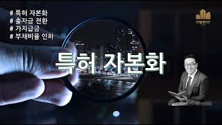 특허자본화를 활용한 가지급금, 부채비율 조정