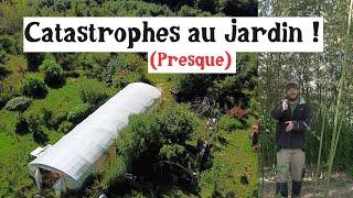 C'est la Galère au Jardin ! (presque)