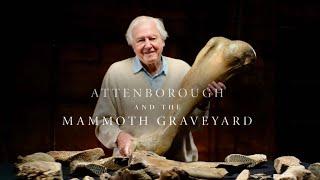 Attenborough and the Mammoth Graveyard