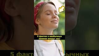 5 фактов о необычных запахах вокруг нас! #Запахи #Факты #Наука #Интересно #Нюх