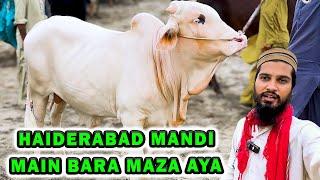 SURPRISE Tour at Haiderabad Cow Mandi | Part 01 | Cattle Market Karachi