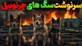 سرنوشت باورنکردنی سگ‌های چرنوبیل : بقا و امید در دل منطقه ممنوعه | Dogs Of Chernobyl