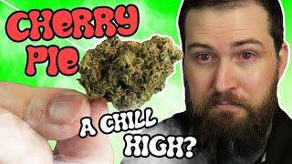 Cherry Pie Strain Review!