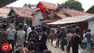 Detik² Warga Menangkap Sosok Makhluk Jadi-Jadian Di Atap Rumah. Merinding..