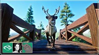  Reindeer Habitat & Overpass | City Zoo | Speed Build | Planet Zoo |