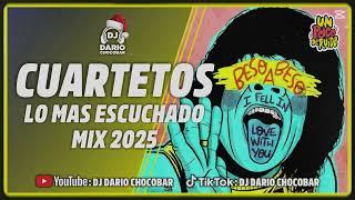 CUARTETOS DEL MOMENTO EN UN POCO DE RUIDO | MIX 2025 (Especial Felices Fiestas) Dj Darío Chocobar 