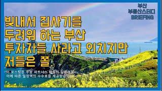 부산부동산 부산아파트 빚내서 집사기를 두려워 하는 부산. 투자자들 사라고 외치지만 저들은 쫄.