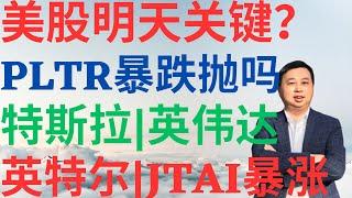 美股968|美股明天是关键?PLTR暴跌抛吗?特斯拉要启动了吗?英伟达还能涨吗?英特尔咸鱼翻身了吗?JTAI为何暴涨? #pltr #nvda #tsla #intc #jtai #美股分析