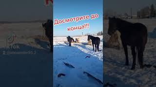 #сельскаяжизнь #золотыеслова!!!