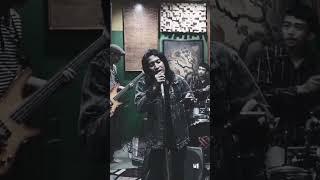 Daun puspa versi Crazy rasta #shorts #shortvideo #daunpuspa #crazyrasta