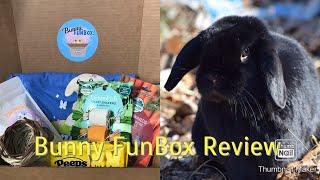 Bunny FunBox Review(Monthly Subscription Box)