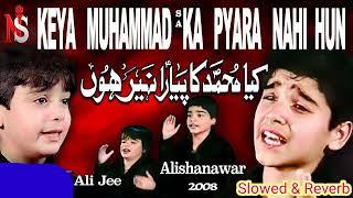 Slowed & Reverb | Kiya Muhammad Ka Pyara Nahi Hun | Nadeem Sarwar #alijee #alishanawar #nadeemsarwar