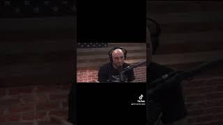 Elon Musk talking about AI #elonmusk #joerogan #ai #cortex #part2