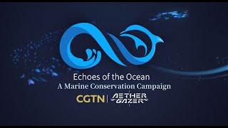 "Echoes of the Ocean" - Aether Gazer x CGTN Collaboration Event