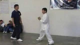 Yang Family tai chi push hands