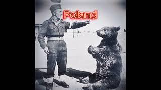 Wojtek #wojtekbear #poland #polandball #edit #bear #ww2 #history #geography