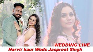 Harvir Weds Jaspreet Wedding Live By Sajan Studio Lopon Cnt 9988358684