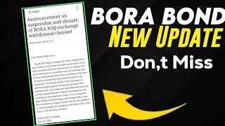 bora bond new update | bora bond latest update | bora bond trading | bora bond