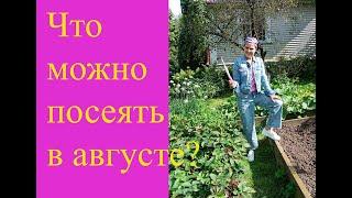 Что можно посеять в августе