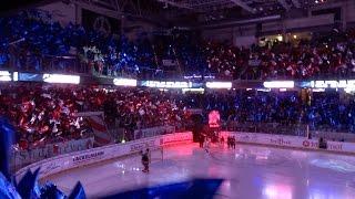 Nürnberg Ice Tigers - Arena Nürnberger Versicherung - Playoffs 2016 - Fahnen Choreo