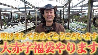 【福袋2025】今年も激ヤバ福袋販売します！！【カーメン君】【園芸】【ガーデニング】