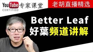 用Better Leaf 好葉频道为例讲解用videoscribe动画工具做视频的几个特点。