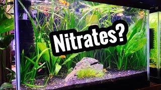 Planted Aquarium with High Nitrates?