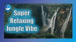 Super relaxing jungle vibe with calming singing birds. Serene and soothing perfect for sleeping.