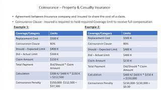 Coinsurance - P & C Insurance