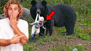 33 Moments Dangerous Animals Caught Being Friendly in 2024