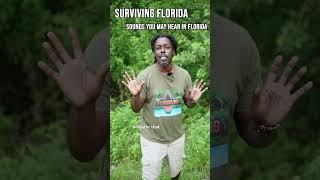 Surviving Florida : sounds you may hear in Florida